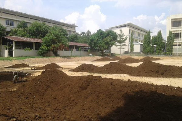 Bán đất thịt trồng cây, đất thịt sạch đóng bao