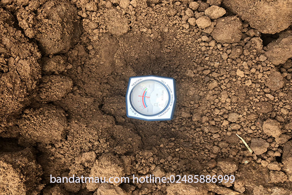 Bán đất trồng cây tại Hà Nội